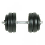 vidaXL Set gantere 15 kg (90236)