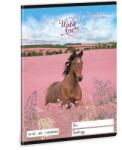 Ars Una 1. osztályos vonalas füzet A5 - Wild and free (53583598)