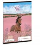 Ars Una Wild and Free A/5 vonalas füzet 21-32 (53623591) (53623591)