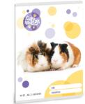 Ars Una Ars Una: Cuki állatok - Tengerimalac 2. osztályos vonalas füzet 32 lapos A/5