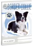 Ars Una Cuki állatok - Border Collie kockás füzet A/5