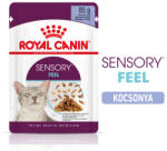 Royal Canin Sensory Feel Jelly - Zselés felnőtt macska nedves táp fokozott érzék hatással (12 x 85 g) 1.02 kg
