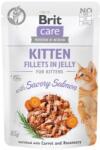 Brit Care Cat Fillets in Gravy with Savory Salmon 85 g