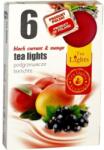  Black currant&mango teamécses 6db-os