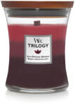 WoodWick Sun Ripened Berries Trilogy Közepes Üveggyertya