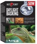  Žiarovka Repti Planet Daylight Basking Spot 50W