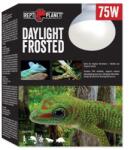  Žiarovka Repti Planet Daylight Frosted 75W