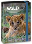 Ars Una Ars Una: Máté Bence The Eyes of the Wild - Oroszlán füzetbox A/4