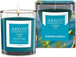 Areon Lumânare parfumată Areon Classic - Under the Mystic Tree, 120 g (CR06_G01)