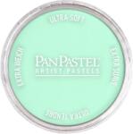 PanPastel Artists’ Pastel uscat 956.5 Pearlescent Green 1 buc (<![CDATA[8029565-1]]>)