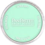 PanPastel Artists’ Сух пастел 956.5 Pearlescent Green 1 бр (<![CDATA[8029565-1]]>)