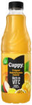 Cappy VITC Trópusi Multiv. 50% 1, 0l 6/# DRS