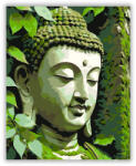 Számfestő Buddha Arca Erdő Harmóniájában - számfestő készlet (crea6467)