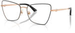 Jimmy Choo 2010HB-3022 Rama ochelari