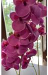 Manóvilág Cserepes Orchidea /pink / 60-65 Cm (élethű, Gumi, Gondozásmentes)