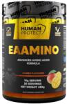 Human Protect EAAmino | with Electrolytes and Recovery Support [450 грама] Манго