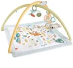 Mattel Interactive Salteluta cu Activitati Senzoriale Mattel Interactive Fisher Price Perfect Sense Deluxe 0 Luni+ Multicolor (194735171385)