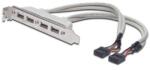 ASSMANN USB 2.0 4x USB A 2x IDC 10 tűs csatlakozókonzol kábel (AK-300304-002-E) - bluechip