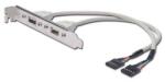ASSMANN USB 2.0 2x USB A 2x IDC 5 tűs csatlakozókonzol kábel (AK-300301-002-E) - tripont
