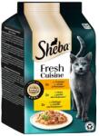 Sheba Roma Csirke, pulyka és baromfi válogatás 6x50g