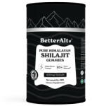 GNC BetterAlt Pure Himalayan Shilajit Gummies, 60 jeleuri, GNC