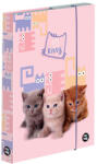 KARTON P+P Cicás füzetbox A/4, Pets, rózsaszín (KPP-5-69525)