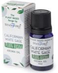  Ulei De Salvie Pentru Lămpi și Aromadifuzoare Cu Ultrasunete
