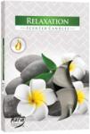  Set 6 Lumânări Pastilă Pentru Relaxare Totală *