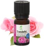  Xterra | Ulei Eteric De Trandafiri | 100% Natural | Diluat Pentru A