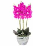 Springos Mesterséges növény, orchidea kerámia cserépben, rózsaszín, 75 cm, Springos (HA4348)