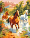 MagicArt Set de pictură pe numere MagicArt - Mustangi liberi (GX47976) Carte de colorat