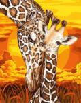 MagicArt Set de pictură pe numere MagicArt - Spiritul Africii (GX42455) Carte de colorat