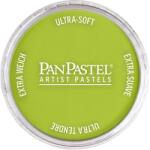 PanPastel Artists’ Pastel uscat 680.5 Bright Yellow Green 1 buc (8026805-1)