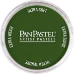 PanPastel Artists’ Сух пастел 660.5 Chromium Oxide Green 1 бр (8026605-1)