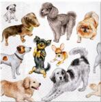 AMBIENTE Szalvéta 33x33cm 20db/csomag Dogs Happiness, Kutyák boldogsága (P.W.SDL132600)