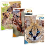 Ars Una sima füzet A4 - Máté Bence Icons of the wild