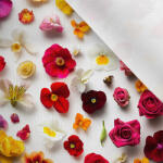 Takoy Matt anyag fürdőruhákhoz, fitnesz ruházathoz szeretem a virágot