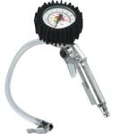 Einhell Pistol de umflat Einhell RFM12 max. 8 bari, cu manometru (4137000)