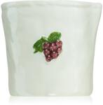 Paddywax Bistro Bordeaux Grape illatgyertya 226 g