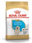 Royal Canin Bhn Golden Retriever Puppy 12kg Eledel kölyökkutyák számára