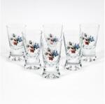 Výrobce po 1 ks 6 db tiszta pálinkás pohár készlet virágmintával (KK01082)