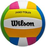 Wilson Röplabda Wilson Pro Tour VB színes (WV2000504XBOF) - s1sport