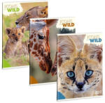 Ars Una Füzet vonalas ARS UNA A/4 40 lapos Extra kapcsos Icons of the Wild (53114921) - papir-bolt