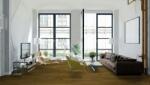 Falquon Parchet laminat lucios Falquon WOOD HG D4189