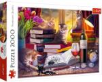 Trefl PUZZLE TREFL 2000 NOAPTEA PISICILOR SuperHeroes ToysZone Puzzle