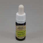 Bach virágeszencia cseresznyeszilva 10 ml