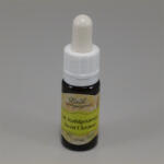 Bach virágeszencia szelídgesztenye 10 ml