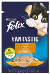 FELIX FANTAST. CS. aszp. nedv. macska 85g