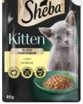 Mars-Nestlé Sheba Kitten Chicken - Alutasakos - (csirke, szósz) kölyökmacskák részére (85g)