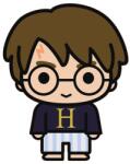 Warner Bros. Entertainment Harry Potter formapárna